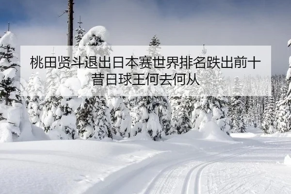 桃田贤斗退出日本赛世界排名跌出前十 昔日球王何去何从