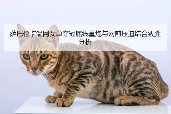 sa-ba-lun-ka-wen-wang-nv-dan-duo-guan-di-xian-zhong-pao-yu-wang-qian-ya-po-jie-he-zhi-sheng-fen-xi-2-488.jpg