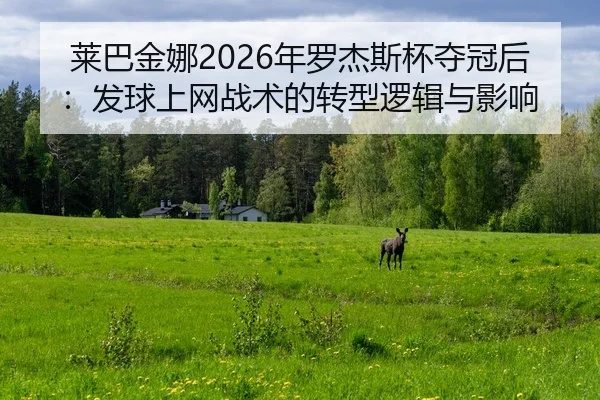 lai-ba-jin-na-nian-luo-jie-si-bei-duo-guan-hou-fa-qiu-shang-wang-zhan-shu-de-zhuan-xing-luo-ji-yu-ying-xiang-2-228.jpg